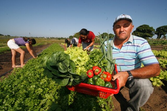 Agricultor familiar exibe alimentos colhidos. (Reprodução/Prefeitura de Araripina/ PE)