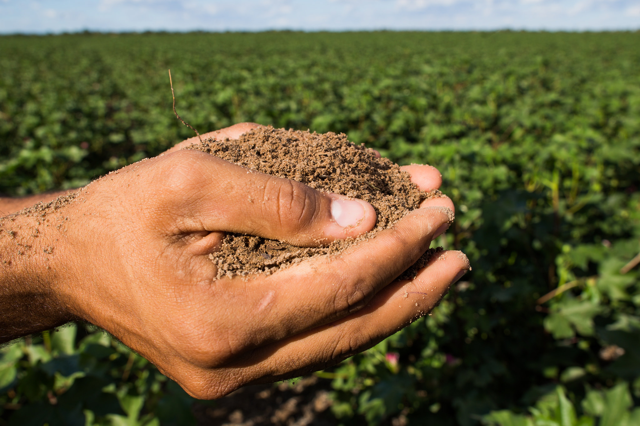 A Radiografia do Agro em Goiás é lançada nas versões português e inglês. (Reprodução/Observatório do Clima)