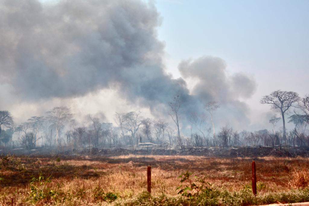 2.769 ocorrências de incêndios em vegetação, segundo dados do Corpo de Bombeiros (Reprodução/SSPG)
