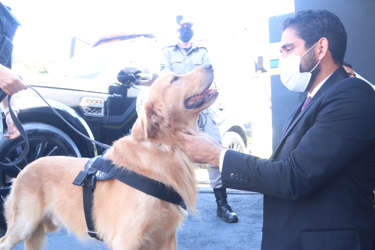 Unidade de Policiamento com Cães ganha estrutura própria e PM de Goiás recebe 20 novas viaturas, em manhã de fortalecimento da corporação (Fotos: Jota Eurípedes)