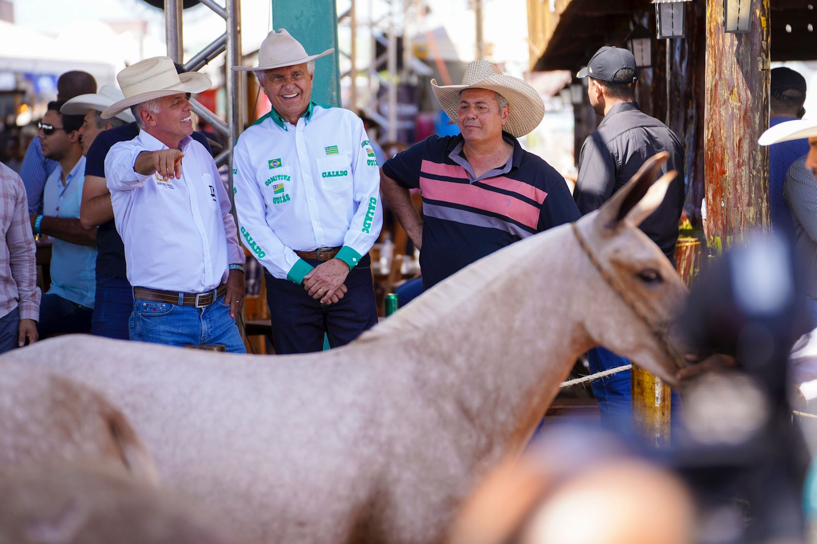 O governador Ronaldo Caiado ao lado do prefeito de Iporá, Naçoitan Leite e do presidente da Amog participando de programação do 14º Encontro Nacional de Muladeiros, em Iporá