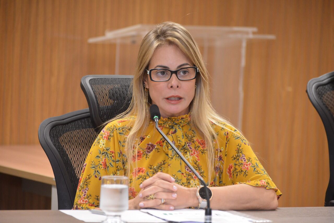 Prestação de contas do primeiro quadrimestre 2022 foi apresentada pela secretária da Economia, Cristiane Schmidt, na Assembleia Legislativa de Goiás. Resultado orçamentário do período foi de R$ 2,39 b