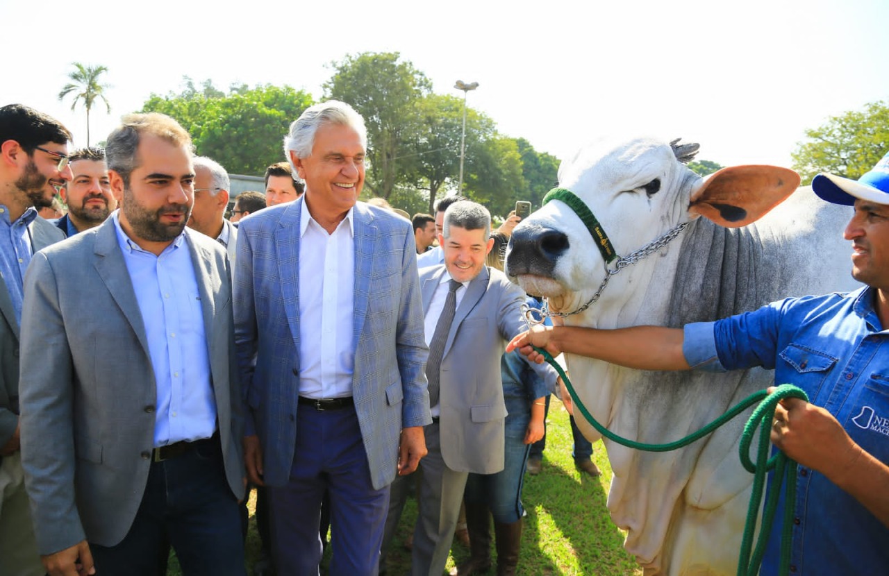 Ao lado do presidente da SGPA, Eurico Velasco, governador Ronaldo Caiado conhece estandes na Pecuária. Mais de 500 animais estão em exposição