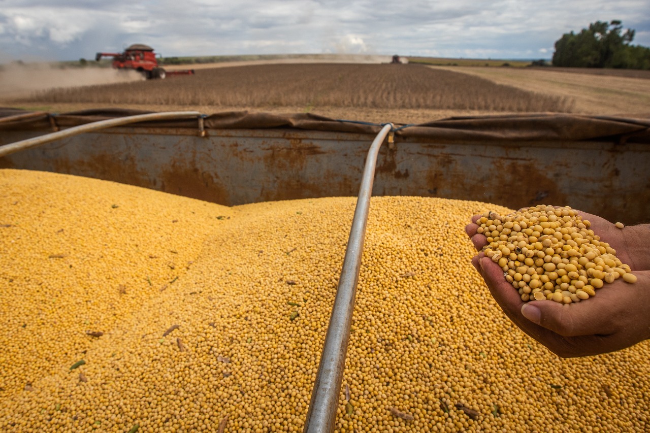 Em Goiás, produção de grãos deve crescer 11,6% e chegar ao recorde de 28,8 milhões de toneladas 