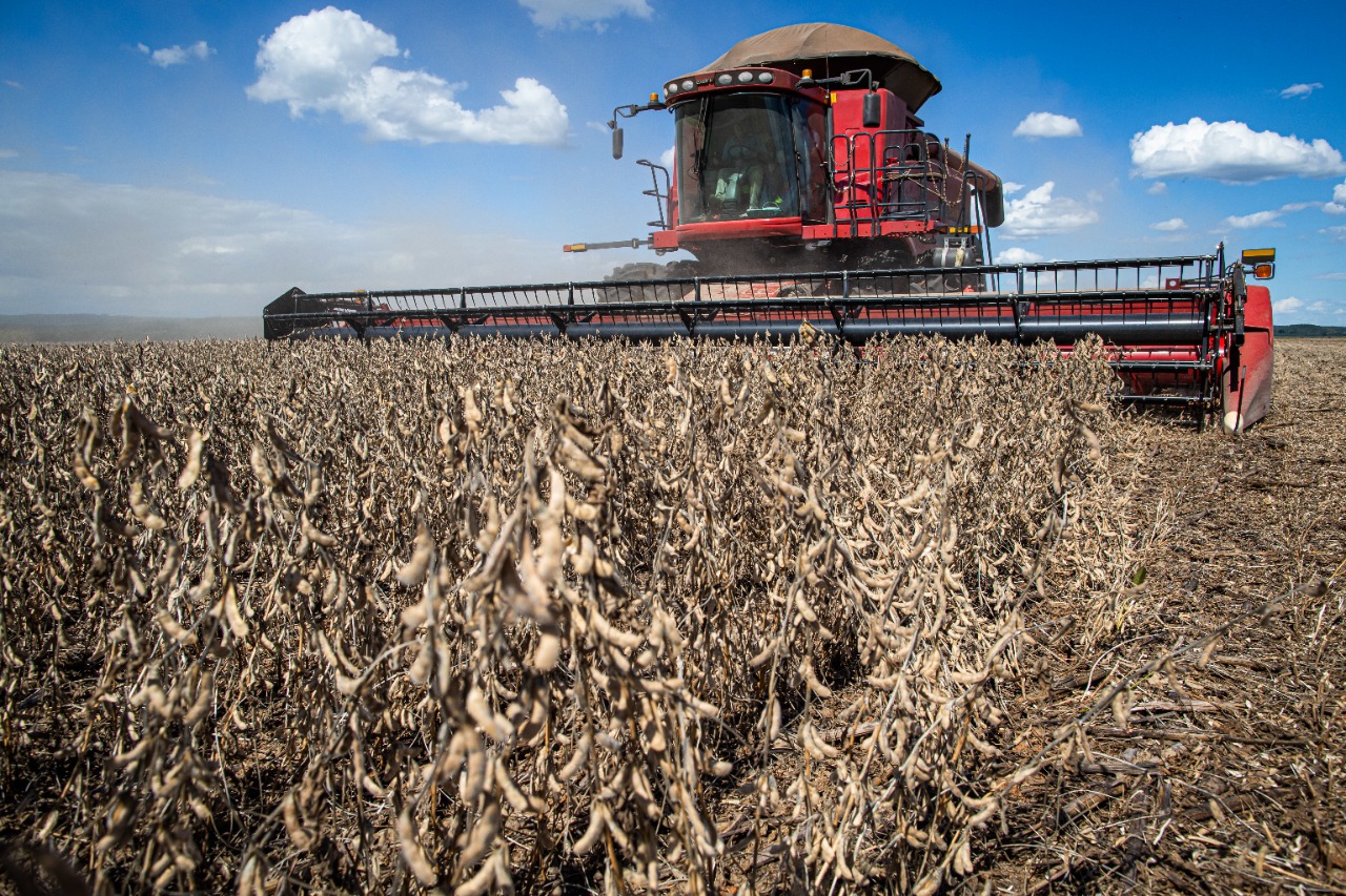 Com crescimento de 109,5% em 2021, soja representa 55,1% do valor da produção agrícola em Goiás