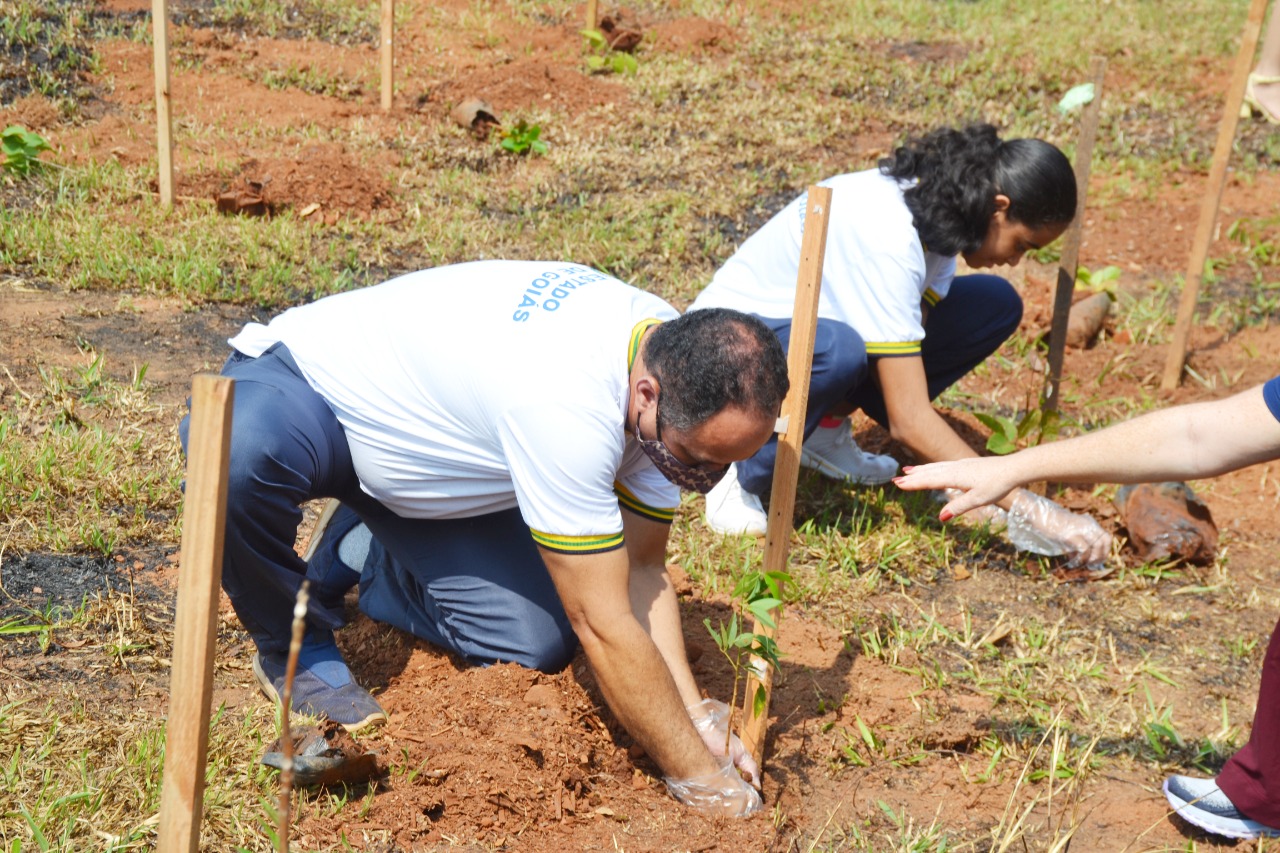 Evento envolveu equipes das secretarias de Estado da Educação (Seduc) e de Meio Ambiente e Desenvolvimento Sustentável (Semad), do Ministério Público de Goiás e da Amma