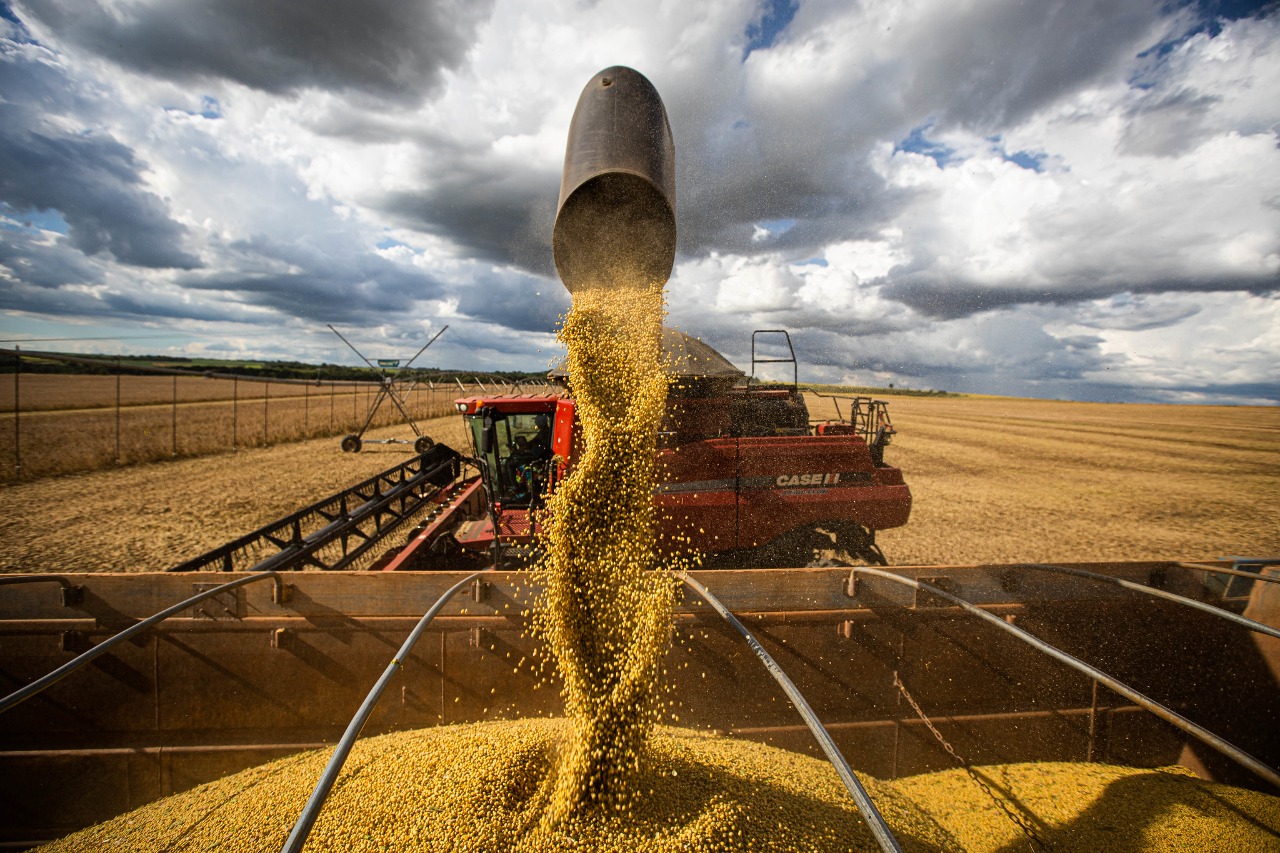 Em Goiás, Valor Bruto de Produção de soja deve registrar aumento de 11%, passando de R$ 37,2 bilhões para R$ 41,3 bilhões