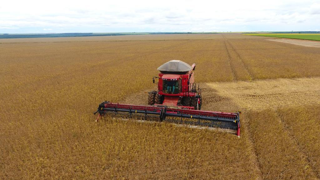 Agricultura e Indústria crescem em Goiás durante pandemia, aponta pesquisa do IBGE