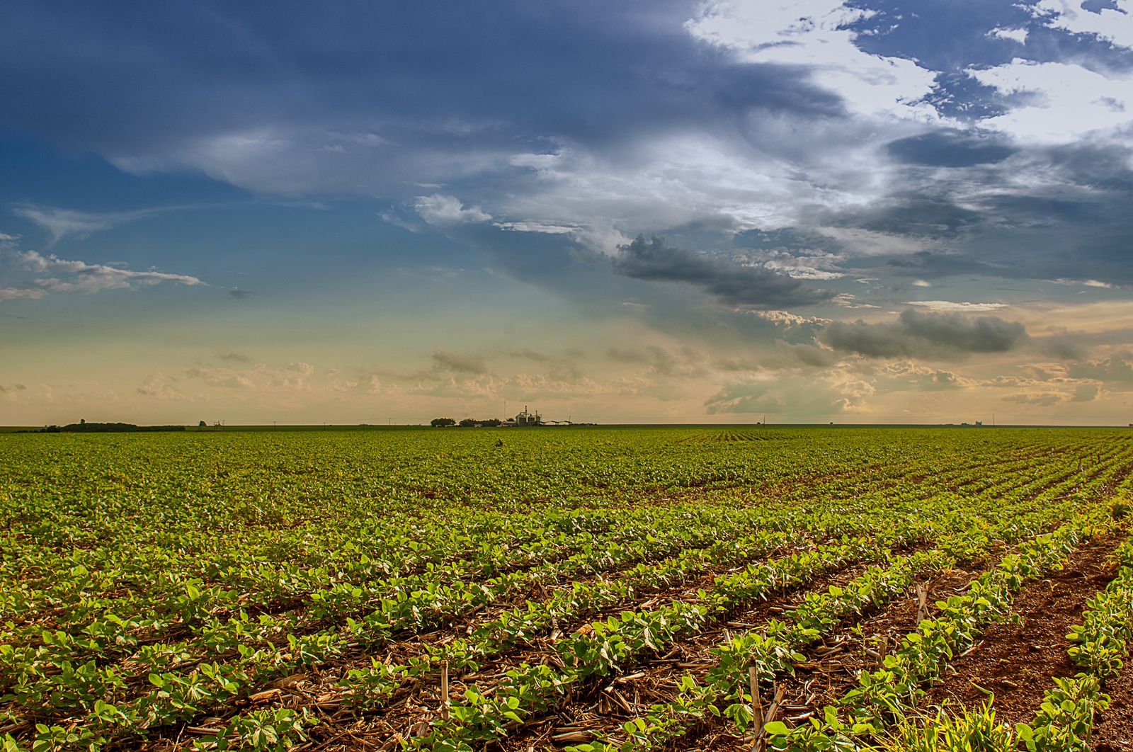 Alíquota do Fundeinfra sobre comercialização da soja será de 1,65%, contribuição passa a ser a única do setor agrícola
