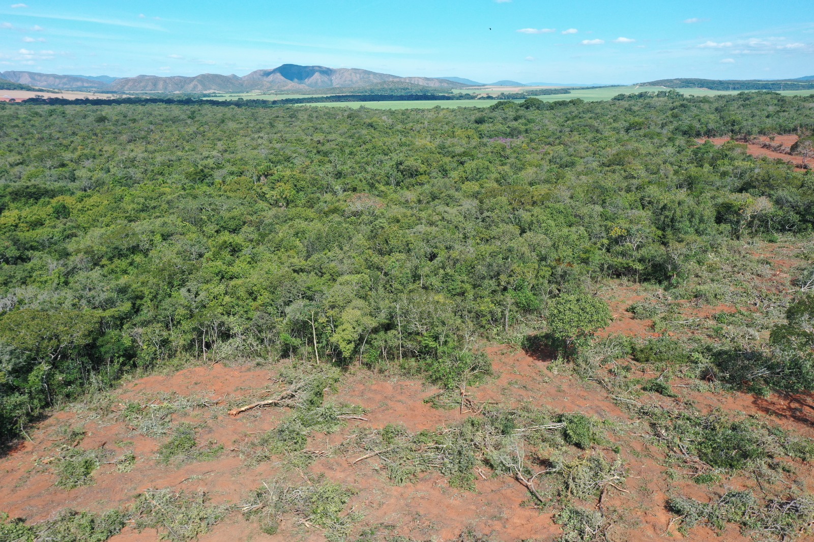 Fiscais impediram desmatamento de 150 hectares de vegetação de Cerrado em Vila Propício