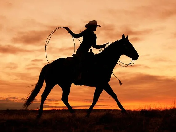 Participação de mulheres no Team Roping ainda é baixa, mas interesse pela modalidade é crescente. (Reprodução/SD News)