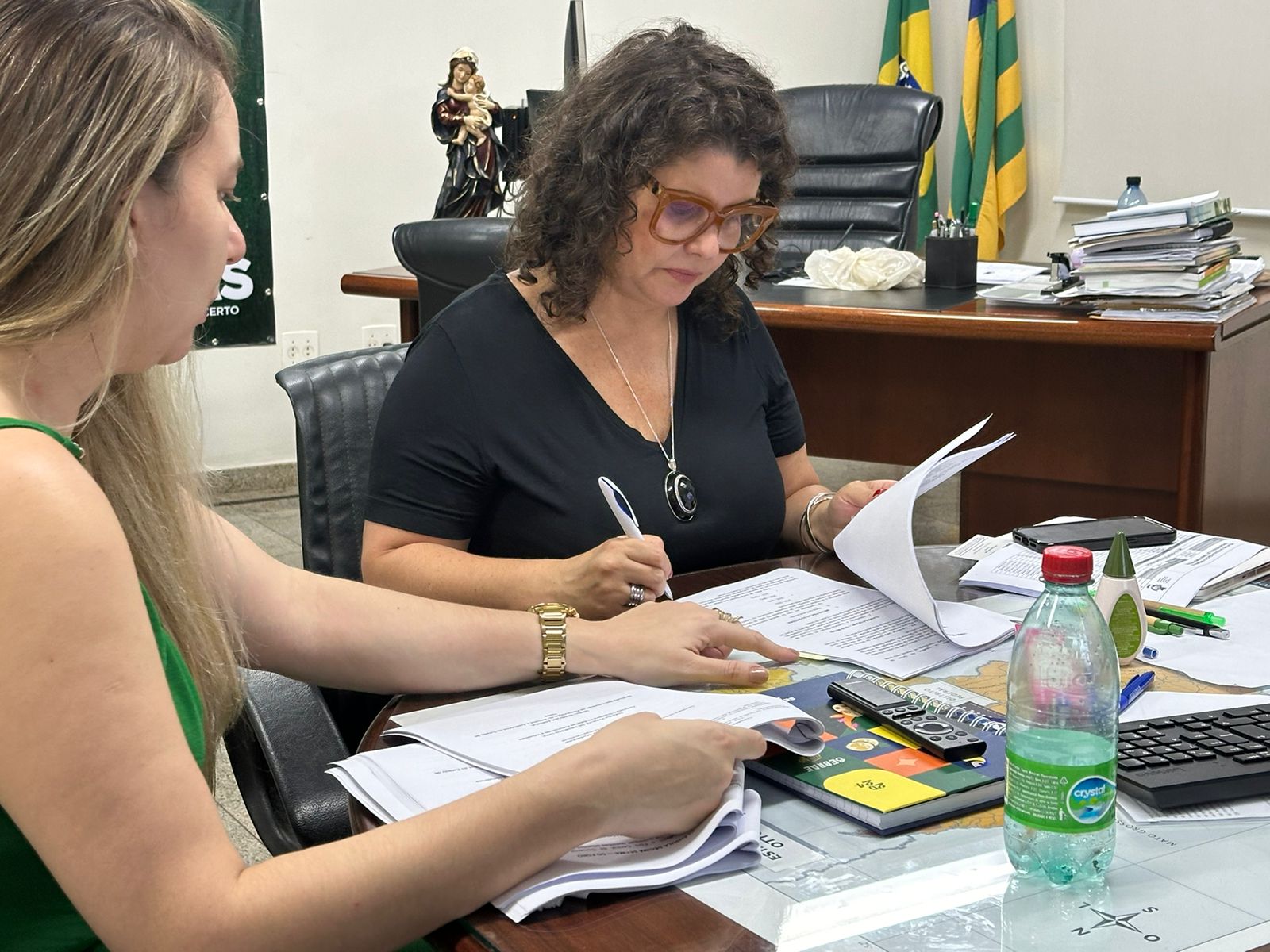 Secretária Andréa Vulcanis assina termo de compromisso para monitorar logística reversa de baterias de chumbo ácido em Goiás