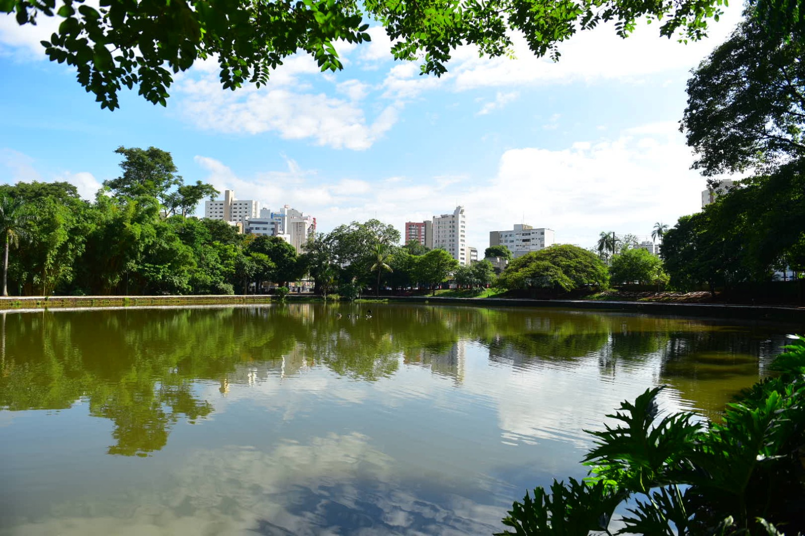 Goiânia se destaca nos fundamentos do bem-estar e oportunidades para os moradores