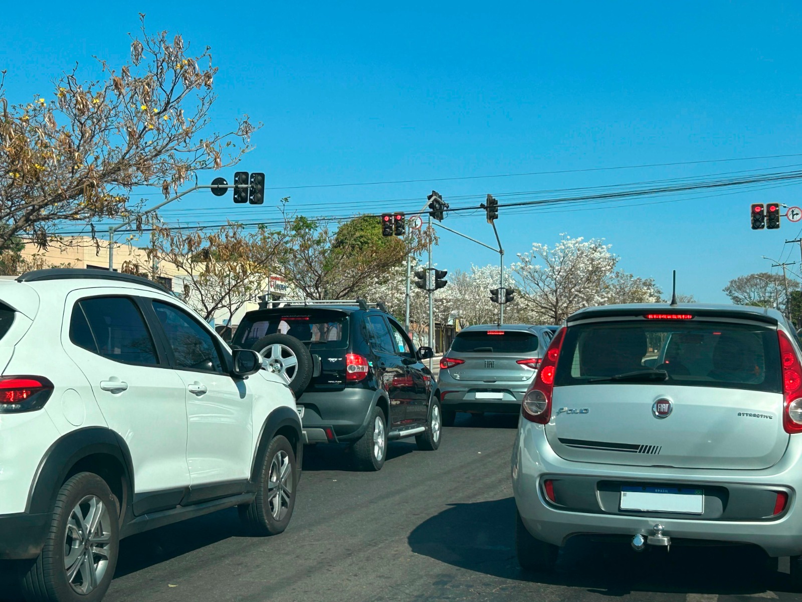 As datas de pagamento do IPVA são as mesmas para quem optou pelo parcelamento e para os motoristas que preferem quitar cota única