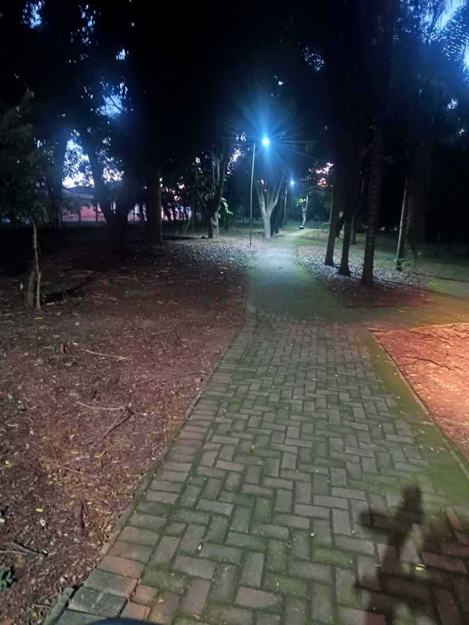 Prefeitura de Goiânia restabelece iluminação e amplia segurança para frequentadores do Parque Taquaral