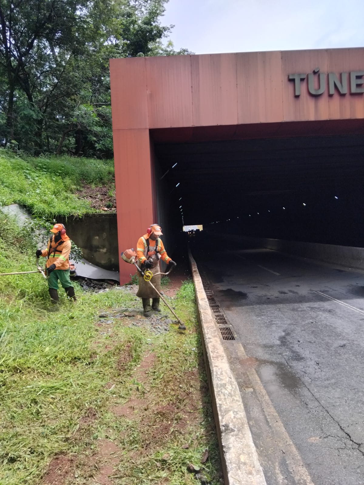 Prefeitura de Goiânia inicia retirada de mato alto nos viadutos e na Marginal Botafogo para prevenir danos das chuvas: ação já é resultado do gabinete de crise