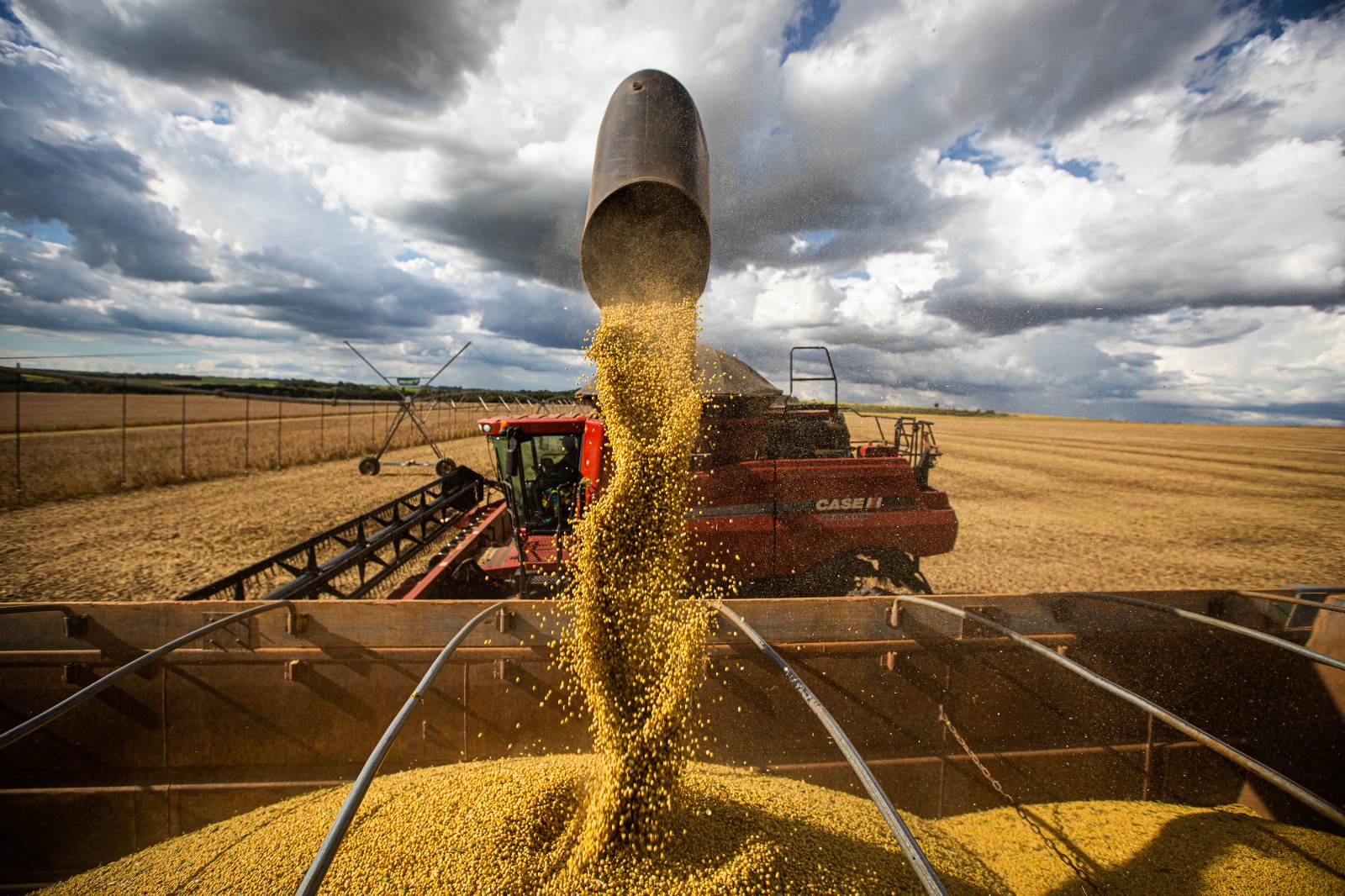 Goiás é o quarto maior produtor de grãos do país, com participação de 10,5% da produção nacional