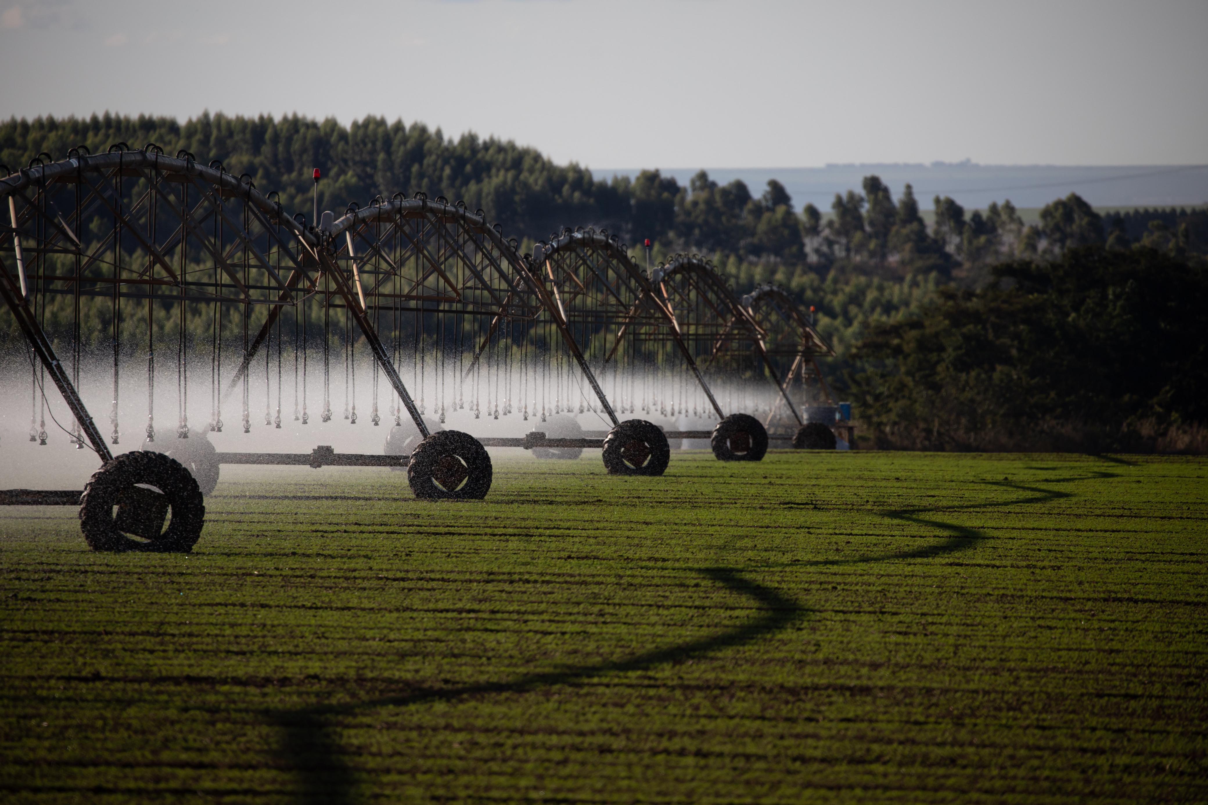 Abertas as inscrições para o Goiás Agritech Challenge: Israel Edition, evento que busca fomentar soluções tecnológicas inovadoras para o uso eficiente e reaproveitamento da água