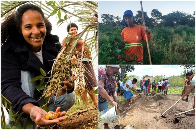 Fomento Rural identifica potenciais e auxilia a inclusão produtiva para famílias como a de Rosemary (alto/D), em Mambaí (GO) e no Quilombo Patioba, em Japaratuba (SE) (abaixo, D). Fotos: Tamires Kopp, arquivo pessoal e MDS / Divulgação