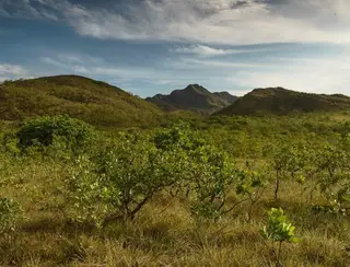 Prodes Cerrado: Redução do desmatamento em Goiás é o maior do Brasil