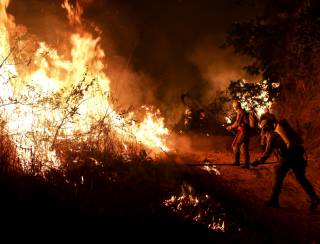 Goiás decreta situação de emergência em 20 municípios e encaminha projeto de lei contra queimadas