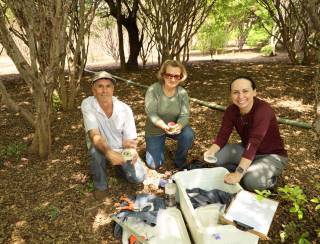 Hidrolândia: Emater Goiás intensifica pesquisa para identificar espécies de jabuticaba