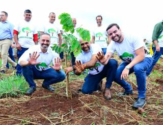 Goiânia: Agência Municipal do Meio Ambiente promove edição especial do ArborizaGyn com plantio de 50 mil mudas no Residencial Três Marias