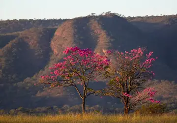 (Parque Estadual da Serra de Caldas Novas (PESCaN): estão suspensas visitação pública e utilização das unidades de conservação ambiental de Goiás para fins de pesquisas e levantamentos científicos).