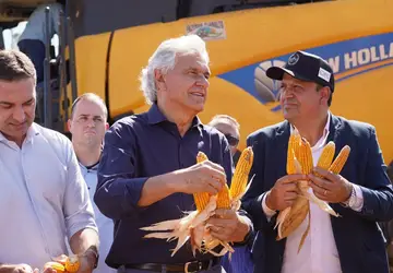 Governador Ronaldo Caiado, o secretário da agricultura Tiago Mendonça e o prefeito Kleber Marra abrindo a colheita do milho safrinha em Caldas Novas