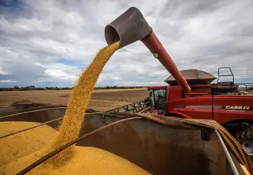 Complexo da soja lidera exportações goianas em outubro, com 36% do total de mercadorias enviadas a outros países
