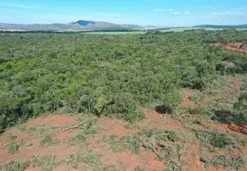 Fiscais impediram desmatamento de 150 hectares de vegetação de Cerrado em Vila Propício
