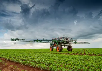 Rio Verde se torna o segundo maior produtor de soja entre os municípios brasileiros