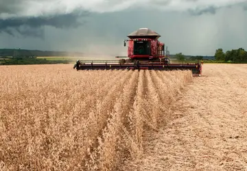Cultivo de grãos cresce em Goiás; estado é responsável por 10,7% da produção nacional