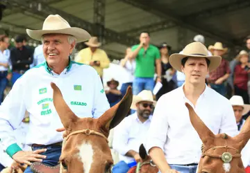 Daniel Vilela ao lado do governador Ronaldo Caiado participando de desfile com comitiva de muladeiros em Goiânia nesta quinta-feira