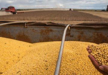 Goiás é o 8º estado que mais exportou no Brasil em março, consolidando como um dos principais exportadores do país