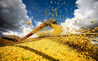 Em janeiro, Catalão sediará a abertura estadual da colheita de soja - safra 2021/22 
