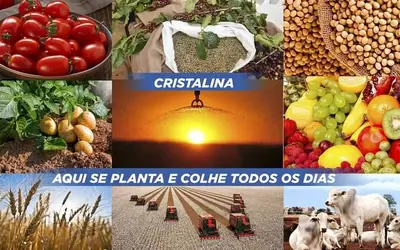 Cristalina têm o melhor PIB Agropecuário de Goiás