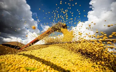 SAFRA 2021/2022: Durante abertura de colheita da soja em Catalão, Pivot fará apresentação de maquinário agrícola