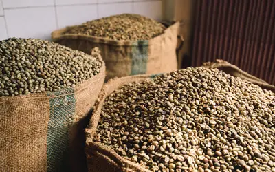 Abertura de mercado na Zâmbia para o café brasileiro