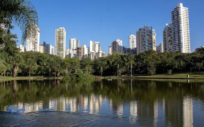 Eleições 2024: entenda o papel dos prefeitos eleitos no próximo domingo para avanço ou retrocesso da pauta ambiental