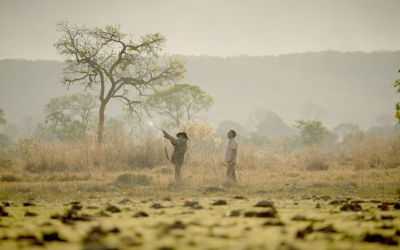 Goiás: Com apoio da Secult, a 16ª Mostra O Amor, a Morte e as Paixões começa na próxima quinta trazendo a exibição de filmes premiados que concorre ao Oscar 2025