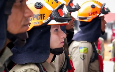 Média salarial das mulheres em Goiás bate recorde e atinge maior nível pelo segundo ano consecutivo