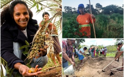 Brasil: Fomento Rural transforma a vida no campo com 77% de beneficiárias mulheres