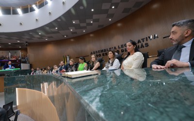 Alego: Prefeitas e primeiras-damas recebem homenagem da Assembleia Legislativa pelo Dia Internacional da Mulher